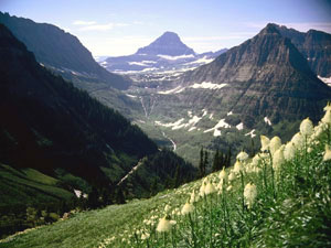 Glacier National Park - Mount Reynolds