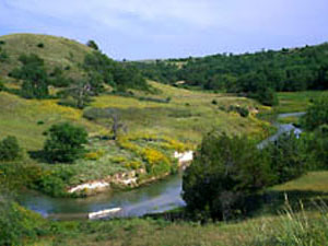 Dismal River - Sand Hills