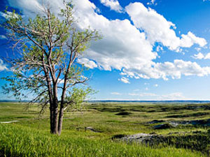 Ogala National Grassland