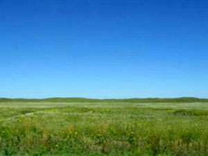 Sand Hills prairie