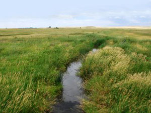 Upper Niobrara River