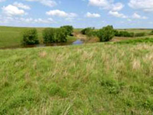 Willa Cather Memorial Prairie