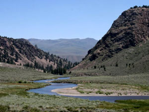 Humboldt-Toiyabe National Forest