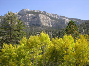 Humboldt-Toiyabe National Forest