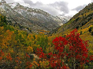 Humboldt-Toiyabe National Forest - Lamoille Canyon