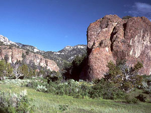 Humboldt-Toiyabe National Forest - Quinn Canyon