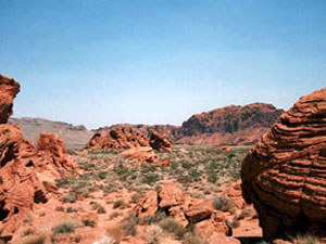 Valley Of Fire State Park - petrified sand dunes