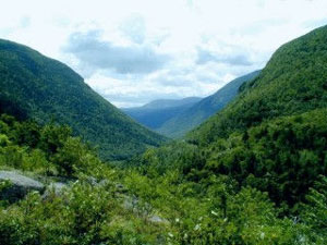 Crawford Notch - White Mountain National Forest