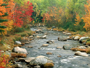 White Mountain National Forest