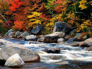 White Mountain National Forest