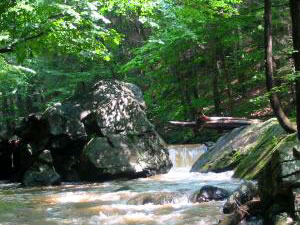 Hacklebarney State Park