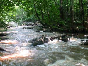 Hacklebarney State Park