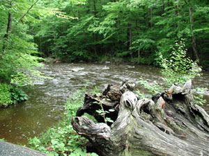 Hacklebarney State Park