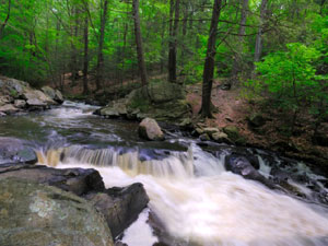 Hacklebarney State Park - Black River