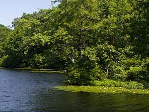 Ramapo Lake