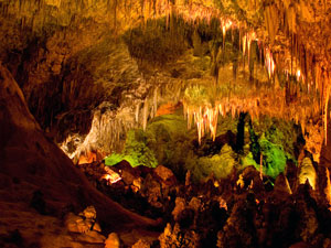 Carlsbad Caverns National Park