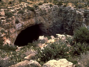 Carlsbad Caverns National Park entrance