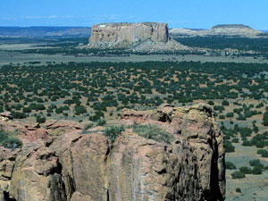 New Mexico landscape