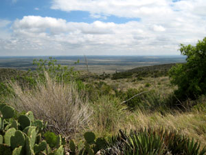 near Carlsbad Caverns