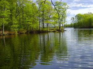 Acme Pond - Staten Island