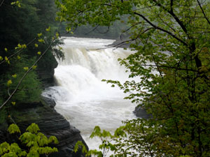 Letchworth State Park - Lower Falls