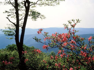 Blue Ridge Mountains