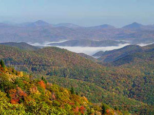 Blue Ridge Parkway view