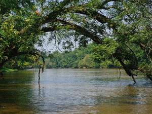 Hammocks Beach State Park