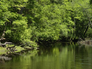 Lumber River State Park