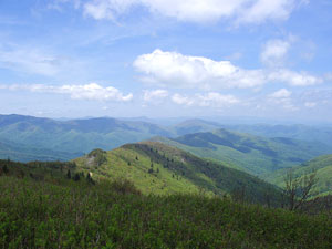 Pisgah National Forest