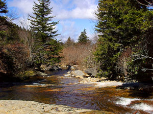 Pisgah National Forest