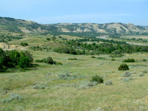 Dakota Prairie Grasslands