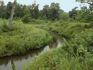 Tongue River