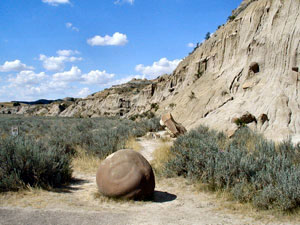 Theodore Roosevelt National Park