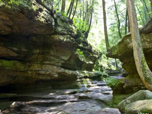 Hocking Hills State Forest