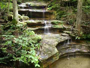 Hocking Hills State Forest