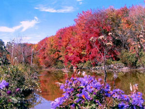 Lake Logan State Park