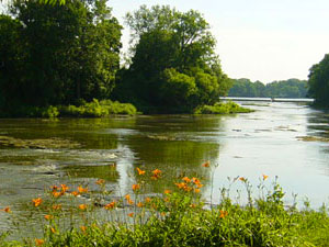 Maumee River - Mary Jane Thurston State Park