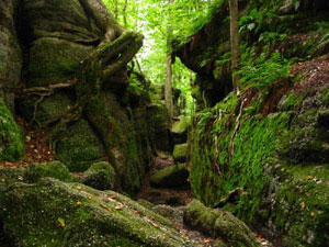 Nelson-Kennedy Ledges State Park