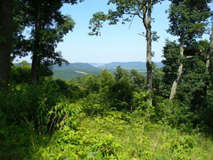 Picnic Point - Heritage Trail