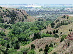 Four Canyons Nature Preserve