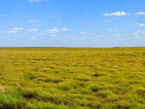 Black Kettle National Grassland