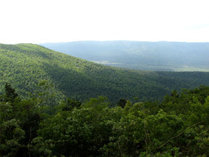 Ouachita National Forest