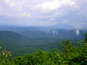 Ouachita National Forest