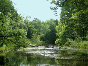 Travertine Creek