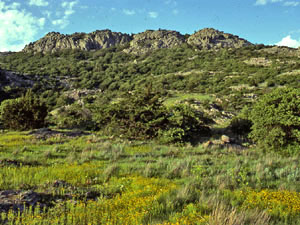 Wichita Mountains