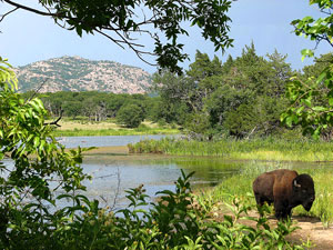 Wichita Mountains Wildlife Refuge