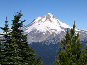 Mount Hood National Forest