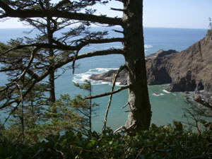 Oregon Coast Trail