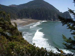 Oswald West State Park